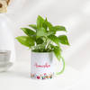 Gift Money Plant With Personalized Mug Planter