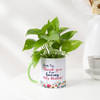Money Plant With Personalized Mug Planter