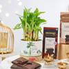 Shop Nature Charm & Sweet Bliss Diwali Hamper