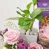 Buy Natures Delights Gift Hamper