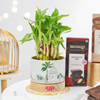 Gift Natures Indulgence Gift Hamper