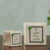 Gift New Year Ceramic Planters