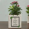 Buy New Year Ceramic Planters
