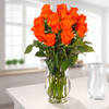 Orange Fairtrade roses in a bunch