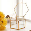 Organizer With Lid -Hexagon - Glass - Single Piece Online