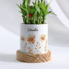 Buy Personalized Bamboo Plant For Women's Day