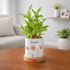 Personalized Bamboo Plant For Women's Day