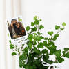 Gift Personalized Chic Ivy Keepsake Planter