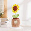 Gift Personalized Crochet Sunflower