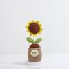 Shop Personalized Crochet Sunflower