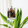 Gift Personalized Dracaena And Fridge Magnet Combo