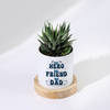 Buy Personalized Father's Day Haworthia Plant With Ceramic Planter
