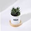 Shop Personalized Father's Day Haworthia Plant With Ceramic Planter