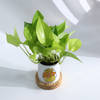 Buy Personalized Father's Day Money Plant With Ceramic Planter