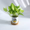 Shop Personalized Father's Day Money Plant With Ceramic Planter