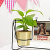 Gift Personalized Growth And Memories Swing Planter