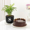 Personalized Lush Plant And Cake Combo