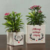 Personalized Merry Christmas Planters