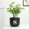 Gift Personalized Midnight Clay Pot With Chamaedorea Palm Plant