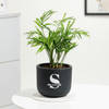 Personalized Midnight Clay Pot With Chamaedorea Palm Plant