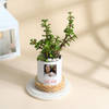 Buy Personalized Mother's Day Jade Plant With Ceramic Planter