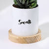 Gift Personalized Panda Ceramic Planter With Haworthia Plant