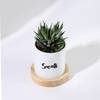 Shop Personalized Panda Ceramic Planter With Haworthia Plant
