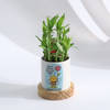 Buy Personalized Positivity Planter With Bamboo Plant