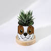 Buy Personalized Puppy Ceramic Planter With Haworthia Plant