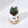 Shop Personalized Puppy Ceramic Planter With Haworthia Plant