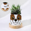 Personalized Puppy Ceramic Planter With Haworthia Plant