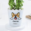 Buy Personalized Self-Watering Dog Planter With Jade Plant
