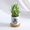 Buy Personalized Women's Day Bamboo Plant With Planter