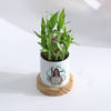 Shop Personalized Women's Day Bamboo Plant With Planter