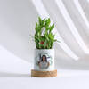 Personalized Women's Day Bamboo Plant With Planter