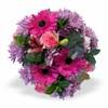Pink Bunch MED Online