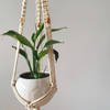 Buy Plant Hanger - The Square Affair