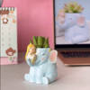 Planter - Baby Elephant - Resin - Single Piece Online
