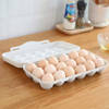 Buy Portable 18-Grid Eggs Holder Tray - Assorted - Single Piece