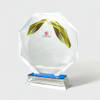 Prestige Acrylic Octagon Trophy