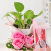 Buy Prosper Pink Floral Hamper