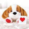 Puppy Love Valentines Day Surprise