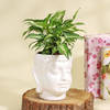 Gift Purifying Syngonium Plant in a Buddha Planter