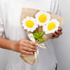 Buy Radiant Handcrafted Crochet Daisies Bouquet