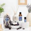Reed Diffuser Potpourri Set Online