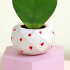 Buy Romantic Hoya Heart Plant with Planter