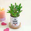 Buy Romantic Personalized Pot with Bamboo Plant