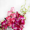 Buy Roses and Orchid Bloom Arrangement