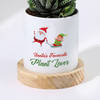 Gift Santa's Favourite - Haworthia Succulent With Pot