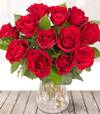 Scarlet Roses For Valentine's Day Online